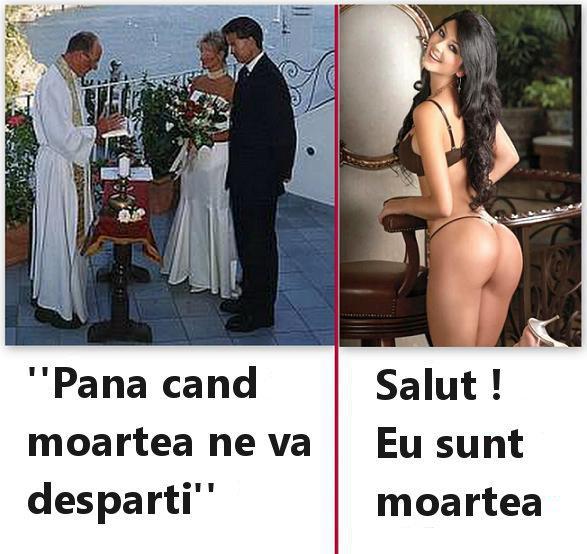 Diverse - 35485480912498610169880252248n.jpg